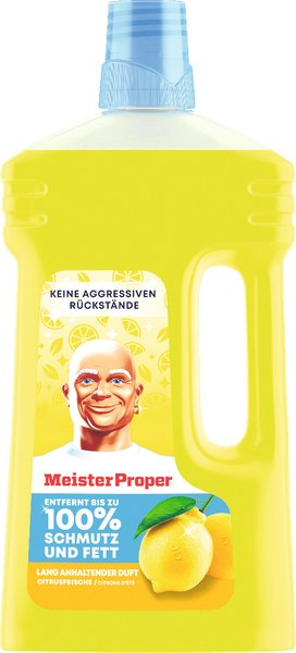 Meister Proper Allzweckreiniger Citrusfrische 1l
