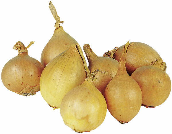 Bio Demeter Zwiebeln 500g