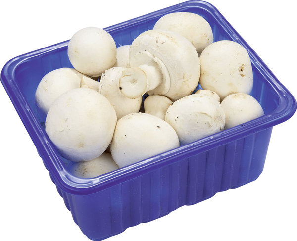 Champignons weiß 250g Champignons weiß 250g
