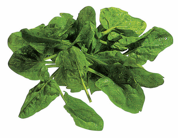 Bio Baby Spinat 100g