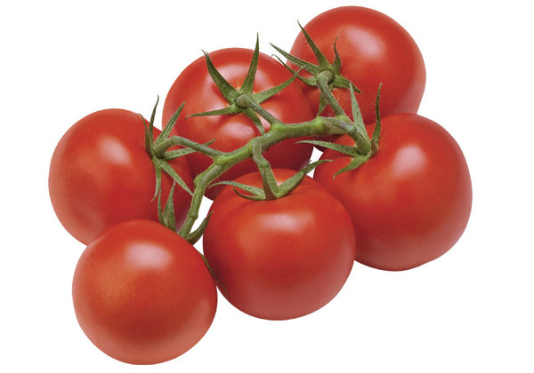Bio Strauchtomaten 500g