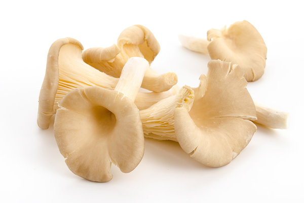 Austernpilze 200g Austernpilze 200g