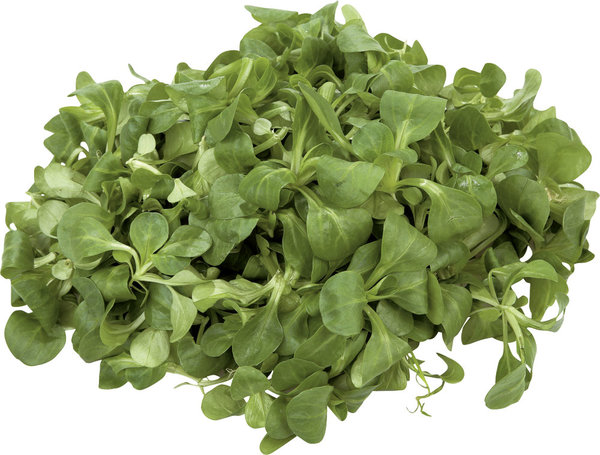 Bio Feldsalat 100g Bio Feldsalat 100g
