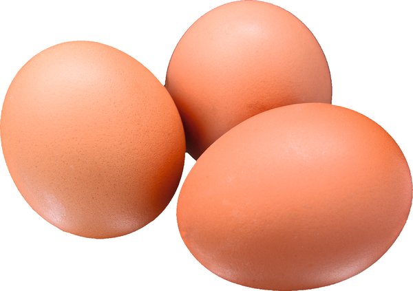 Gutshof Freilandeier Klasse L-XL lose