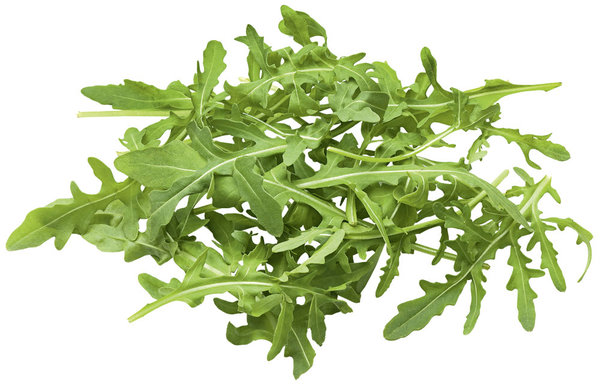 Bio Rucola 125g