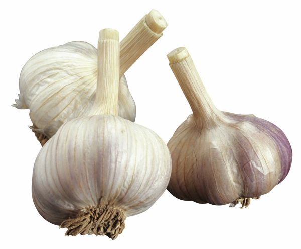 Bio Knoblauch 100g Bio Knoblauch 100g