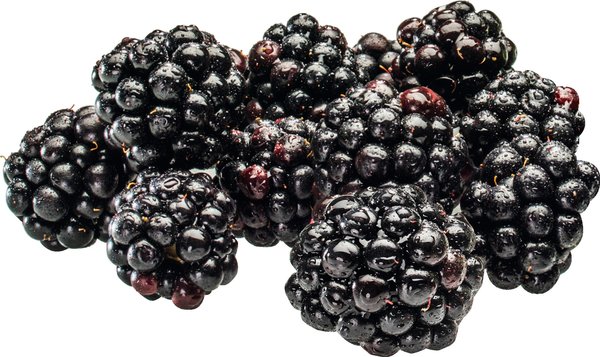 Brombeeren 125g
