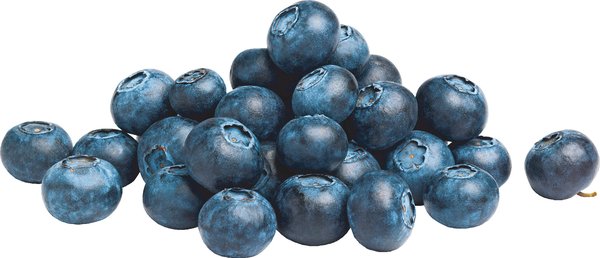 Bio Heidelbeeren 125g